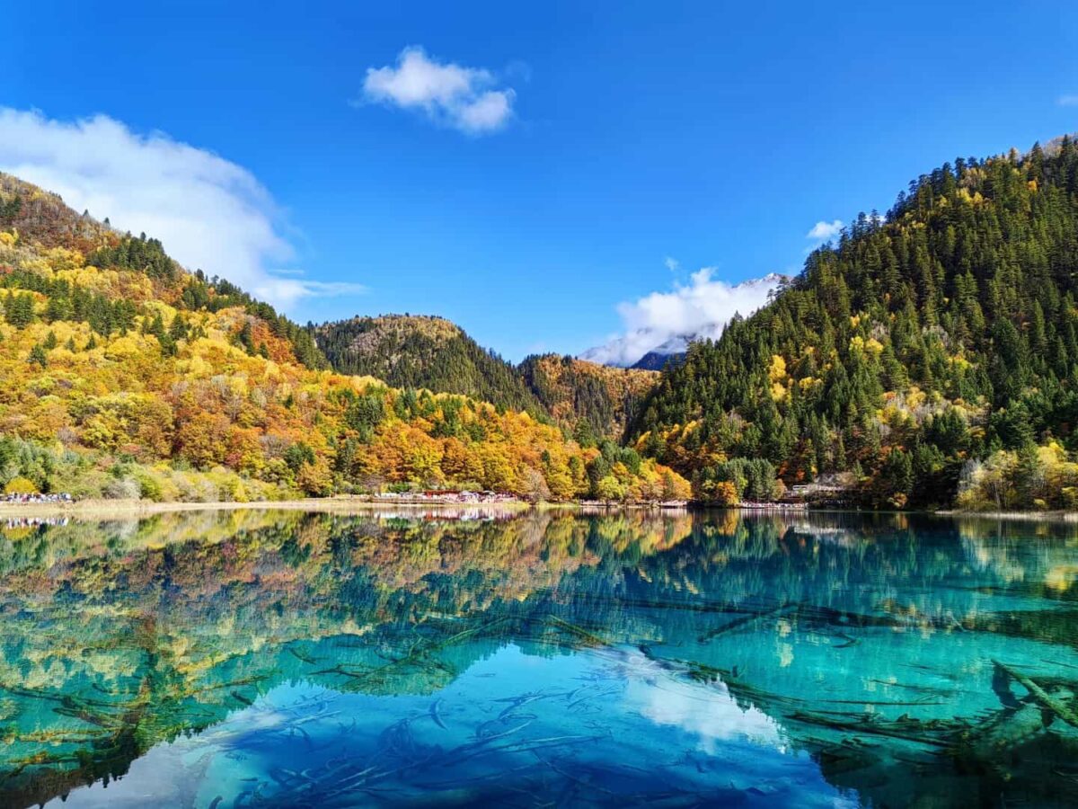 Vallée de Jiuzhaigou (1)